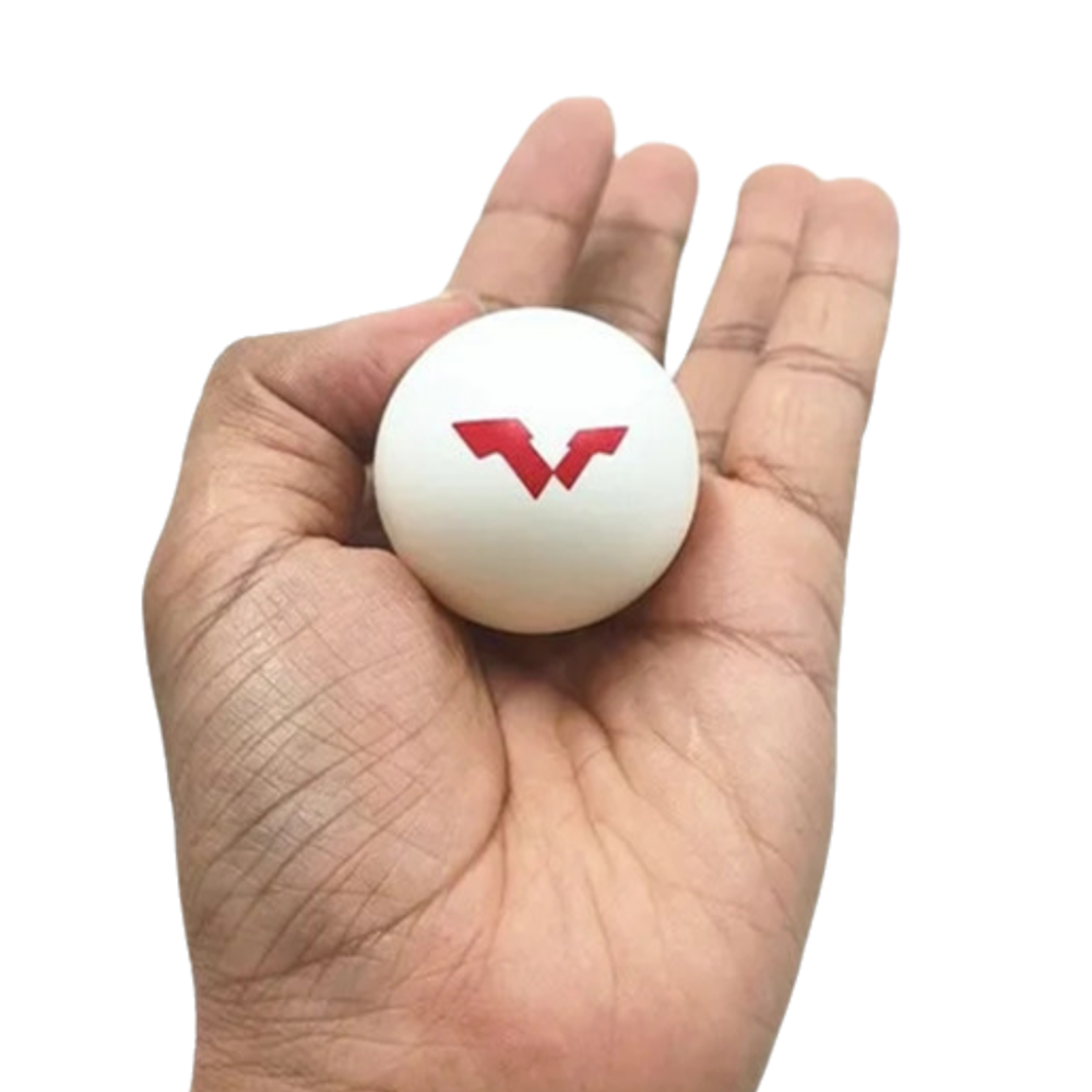 6 Pcs/Box DHS WTT Ping Pong Ba - Table Tennis Game Pc reseña y precio