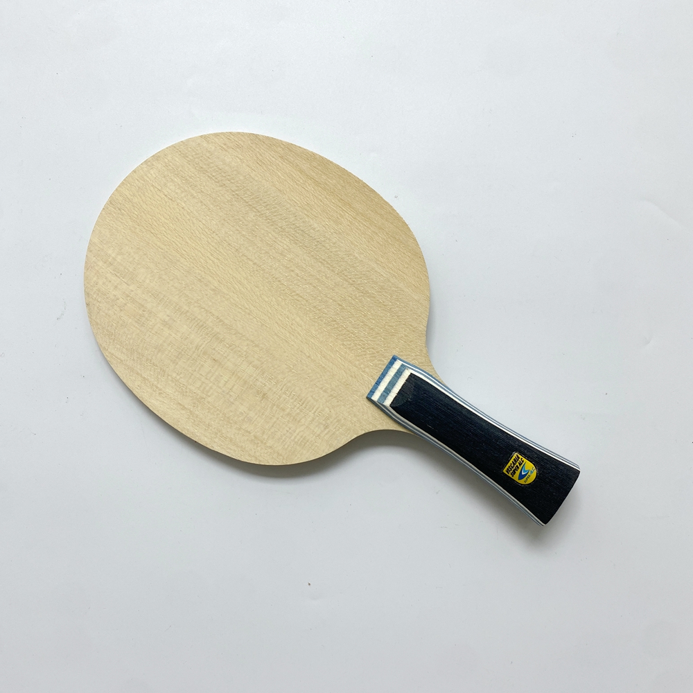 Lemuria VIS Carbon Fiber Table - Table Tennis Viscaria reseña y precio