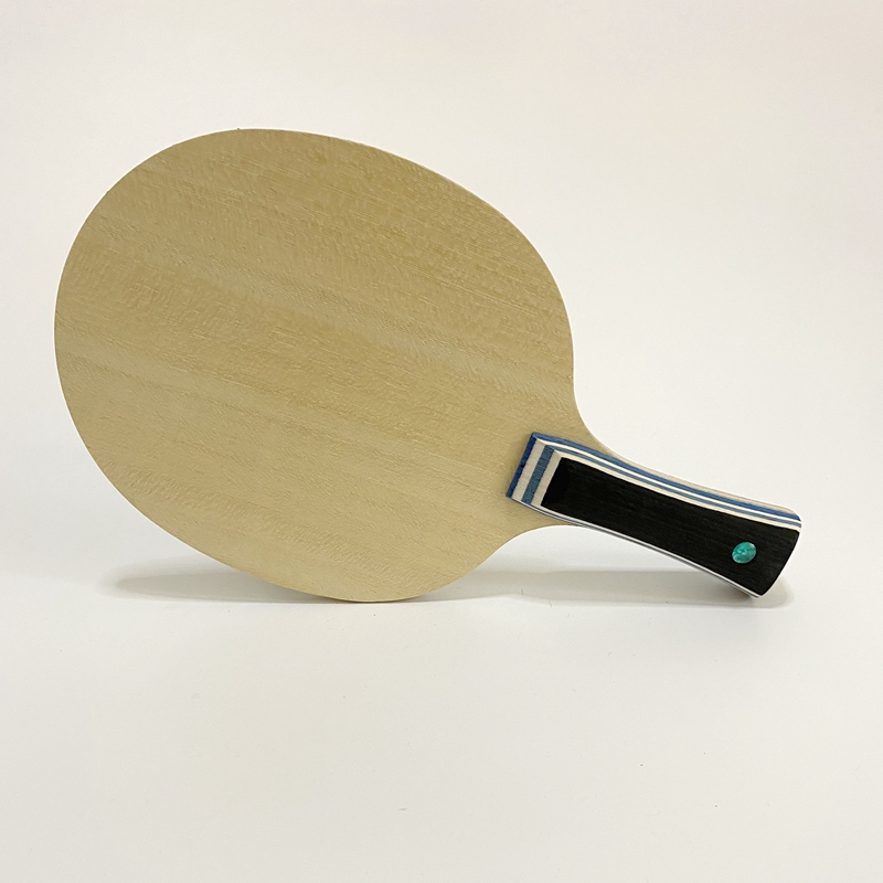 Lemuria VIS Carbon Fiber Table - Table Tennis Viscaria reseña y precio