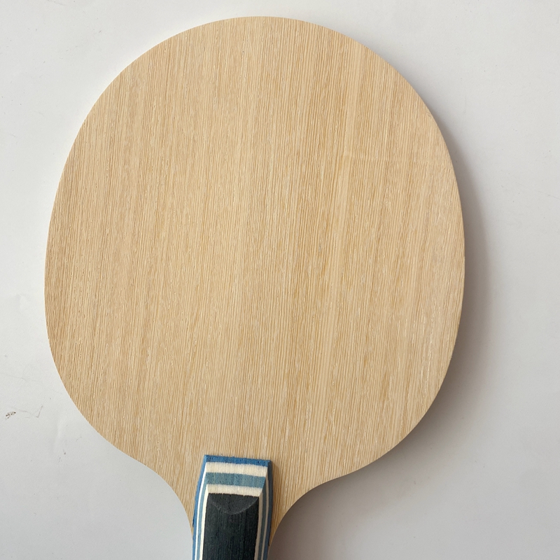 Lemuria VIS Carbon Fiber Table - Table Tennis Viscaria reseña y precio