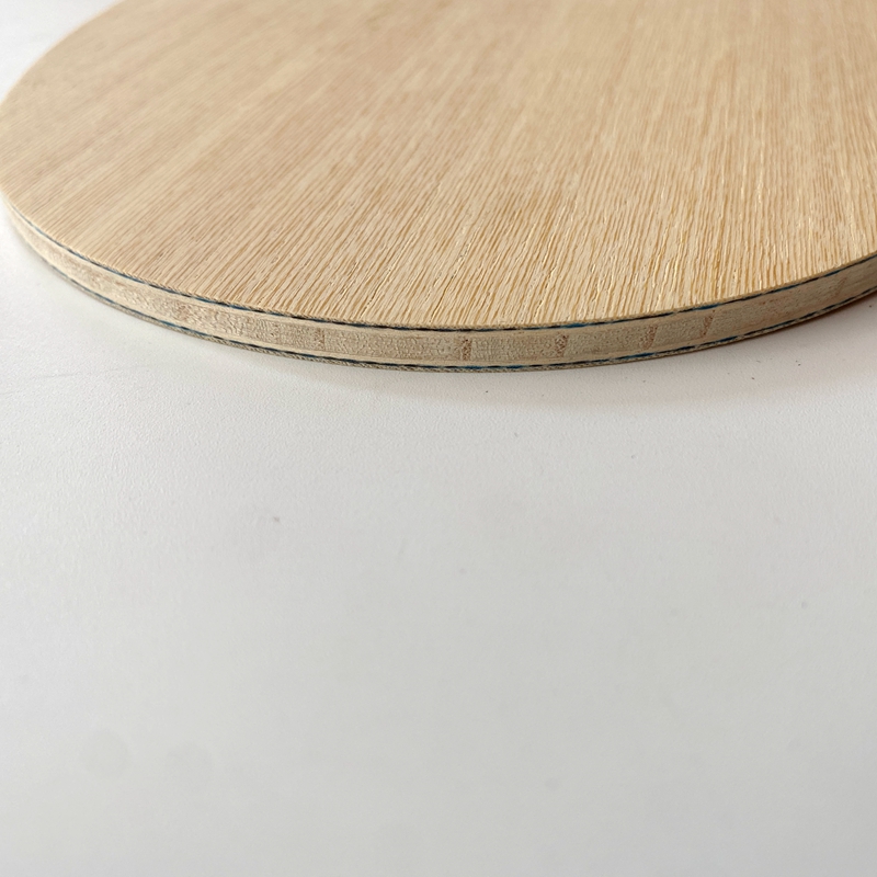 Lemuria VIS Carbon Fiber Table - Table Tennis Viscaria reseña y precio
