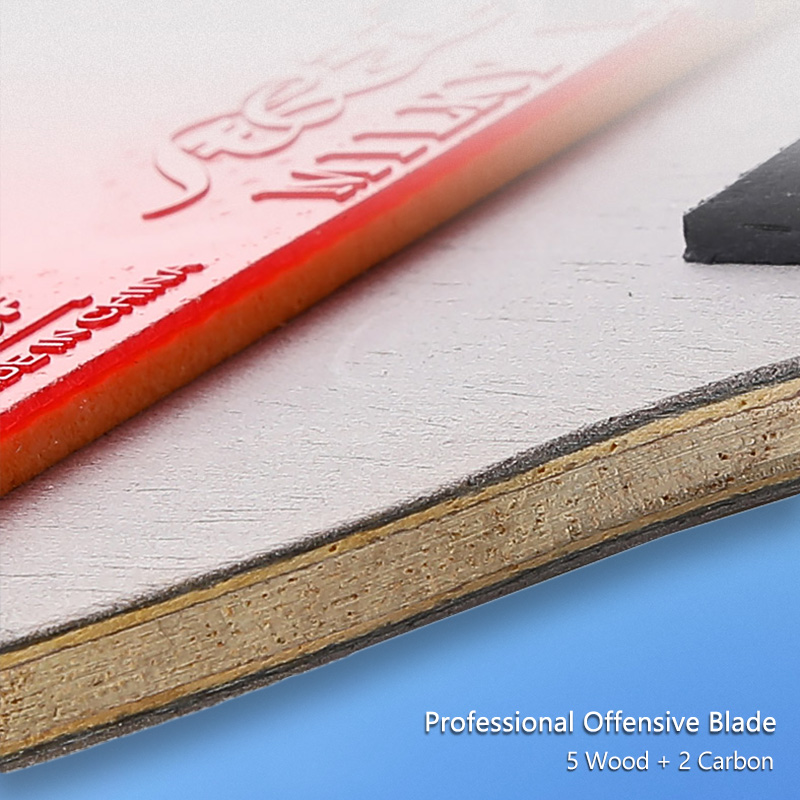 Yinhe 10-star Ping Pong Racket - Table Tennis Bat Butterfly reseña y precio