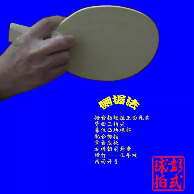 Chinese/Japanese Style Table T - Table Tennis In Japanese reseña y precio