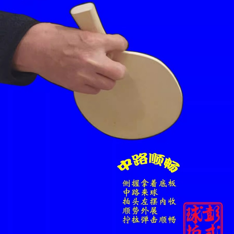 Chinese/Japanese Style Table T - Table Tennis In Japanese reseña y precio