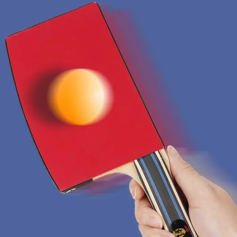Special Shape Table Tennis Rac - Table Tennis Bat Butterfly reseña y precio