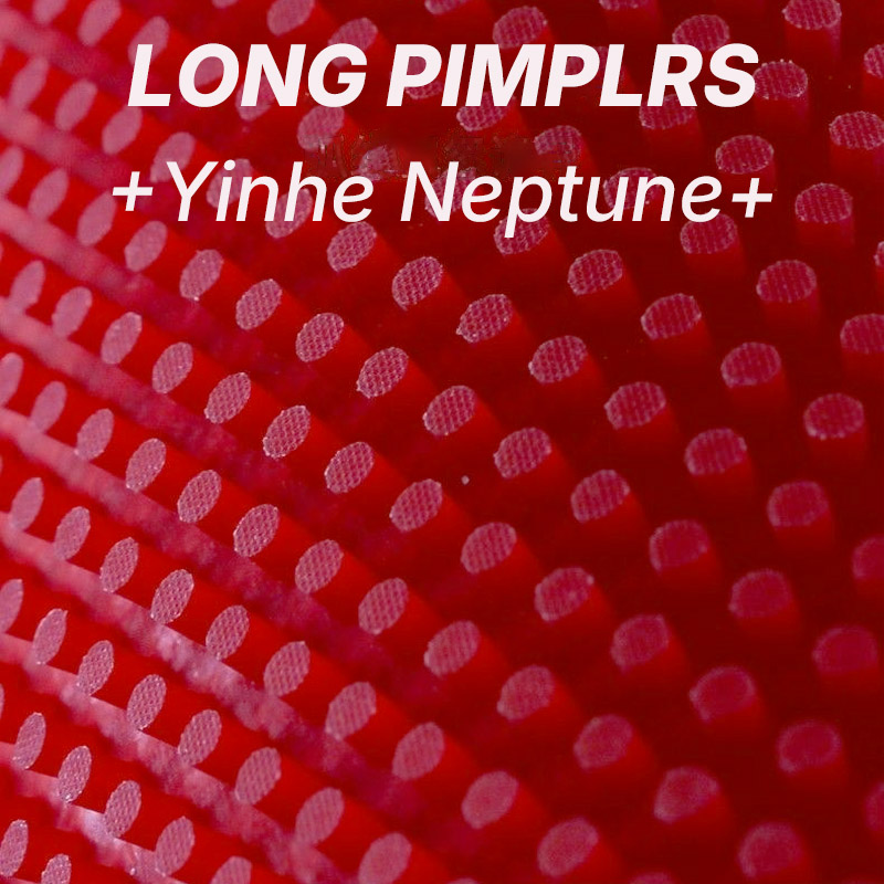 YINHE NEPTUNE Long Pimples Tab - Table Tennis Spin reseña y precio